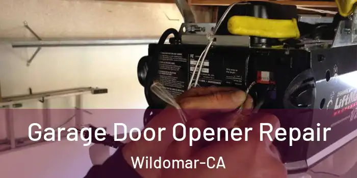  Garage Door Opener Repair Wildomar-CA