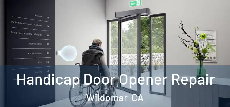  Handicap Door Opener Repair Wildomar-CA
