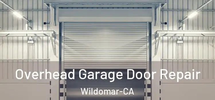  Overhead Garage Door Repair Wildomar-CA